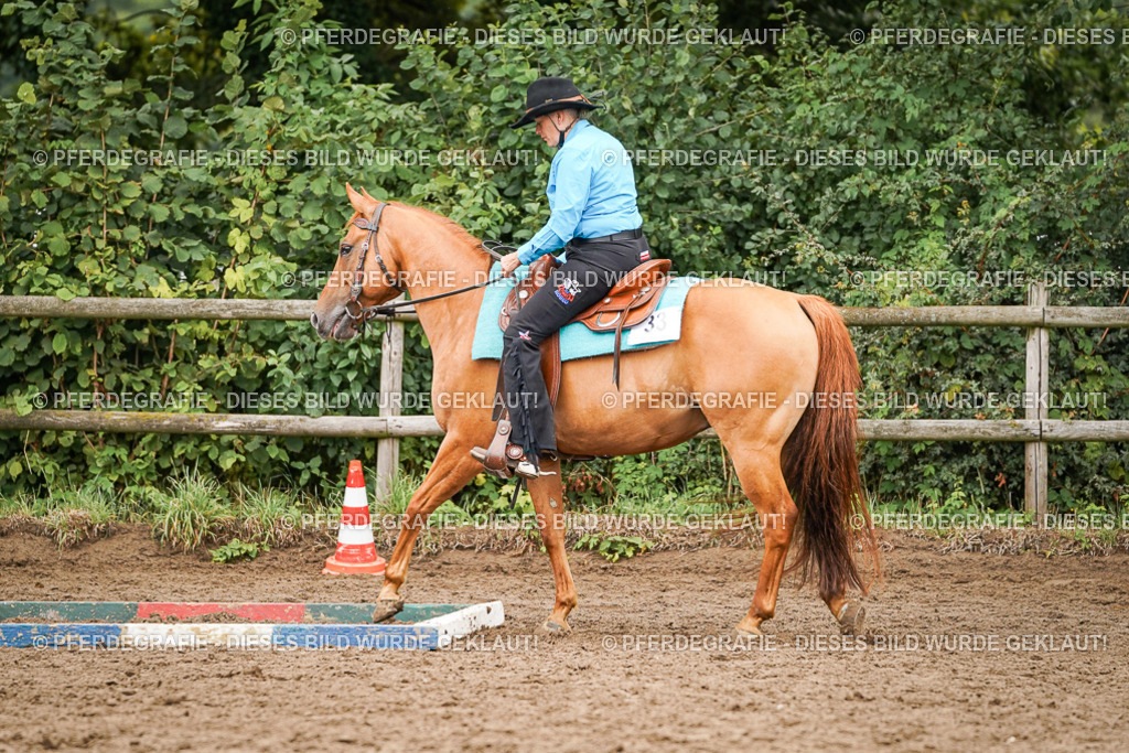 DSC03383 | Pferdegrafie