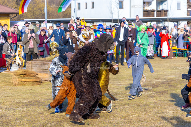 Bärentreiben in Steuerberg | Bildershop von pixelworld.at - Realisiert mit Pictrs.com