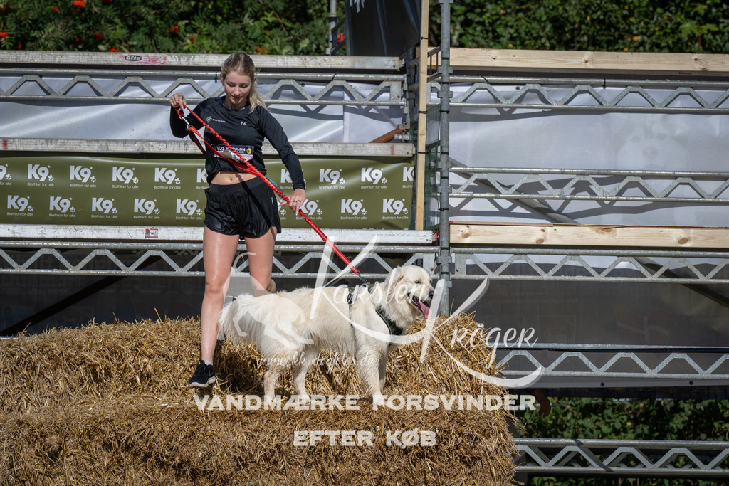 1026_ZZ98623 | kk-dogfotos