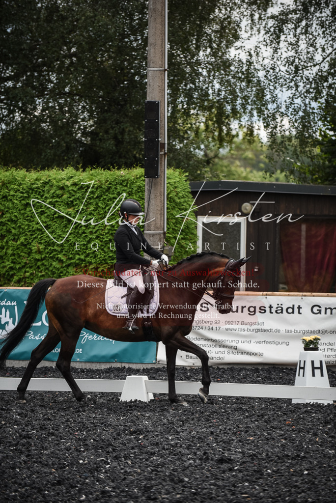 DSC_4881 | Pferde- und Turnierfotografie in Westsachsen. Pferdeportraits, Auftragszeichnungen und intuitive Kunst.