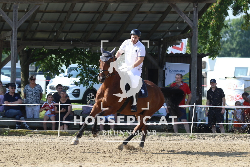 7V2A4028 | Willkommen bei Brunnmayr - Design & Fotografie – Ihrem Spezialisten für Reitturniere und Pferdeveranstaltungen in Oberösterreich, Salzburg und Bayern! Seit über 17 Jahren sind wir leidenschaftlich dabei.