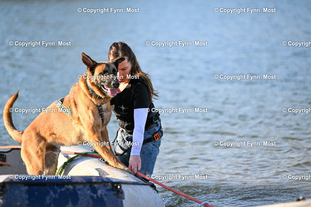 DSC_6977 | Hallo und herzlich Willkommen auf meiner Shop-Seite Fynn Most.

Ich wünsche Dir viel Spaß beim stöbern durch die Bilder, wenn Du Fragen hast oder Bilder vermisst, kannst du mir gerne eine Nachricht schreiben. - Realisiert mit Pictrs.com