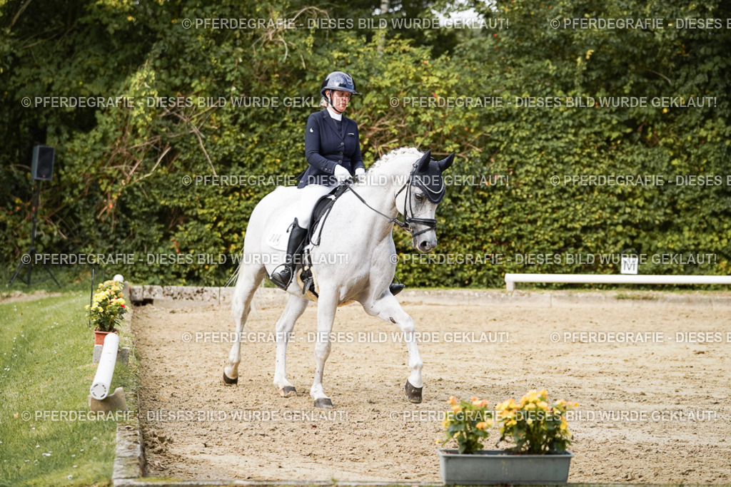 DSC02803 | Pferdegrafie