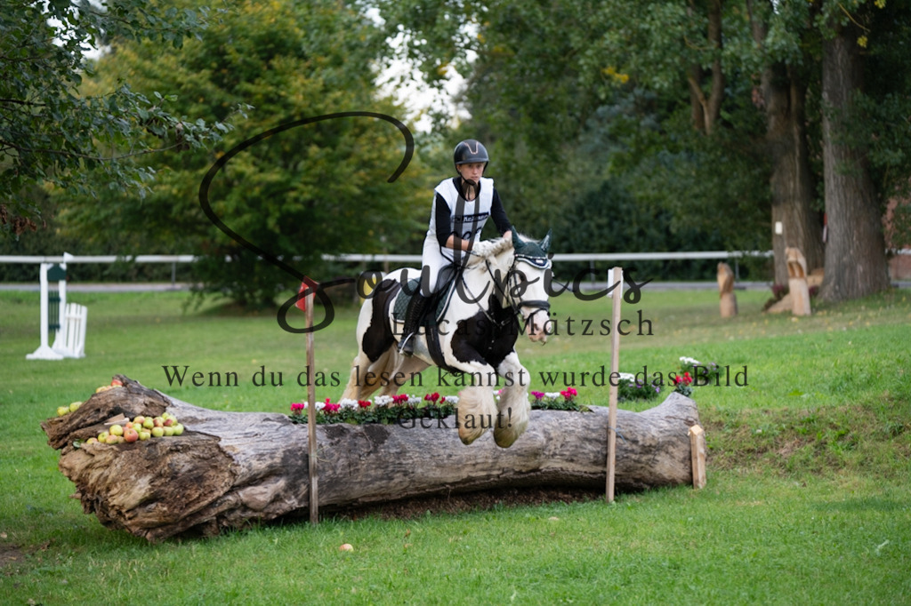 A7V02895 | Turnier/Reitfotograf