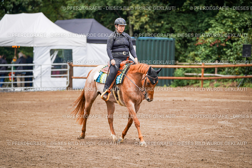 DSC05685 | Pferdegrafie