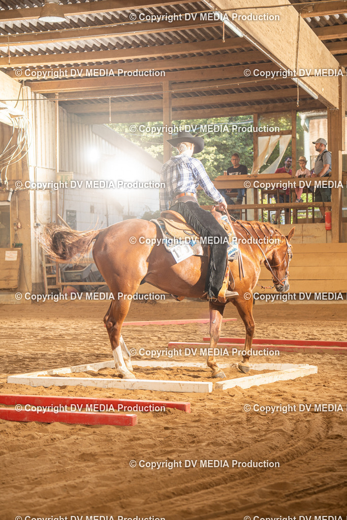 NID02659 | dv-media-shop - Realisiert mit Pictrs.com