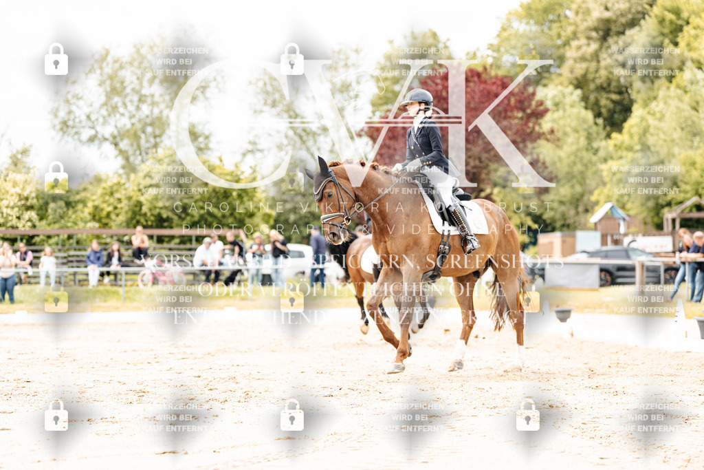 CK902887 | Turnierfotografie Pferdefotografie Trier Rheinland-Pfalz Pferdesport Reitsport Tierfotografie Sportfotografie Pferdevideo Pferdevideografie Equestrianvideography equestrianphotography  - Realisiert mit Pictrs.com