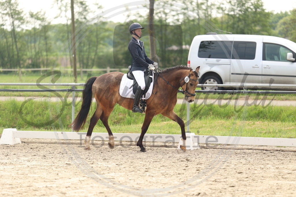 994A6295 | sabrinanicolaifotografie - Realisiert mit Pictrs.com