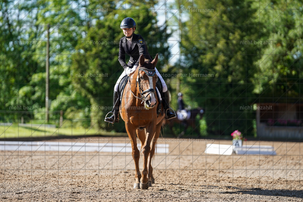 20240519-FAH04427 | Turnierbilder Niederseeon 2024, Vielseitigkeitsdressur, Reitsportbilder aus dem Landkreit Ebersberg, Gut Steinsee, RC Steinsee, Fotoagentur Herrmann
