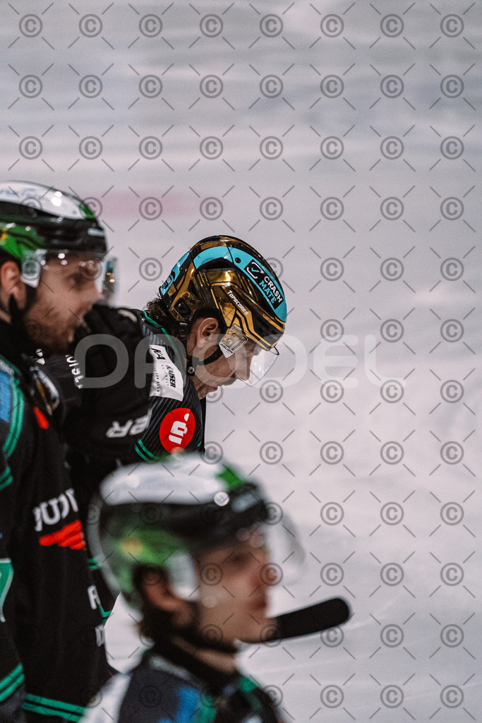 Alligators_vs_Bayreuth_16_01_2026-07 | Höchstadt Alligators Fotogalerie: Eishockey-Action aus Franken. Professionelle Spielfotos, Portraits & Stadionbilder zum Download. Jetzt entdecken! - Realized with Pictrs.com