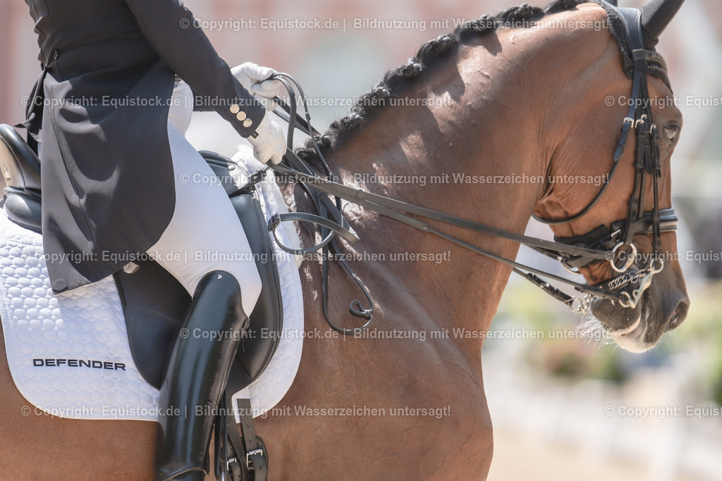 20230527_01_GP-Kür-Tour_0205 | equistock