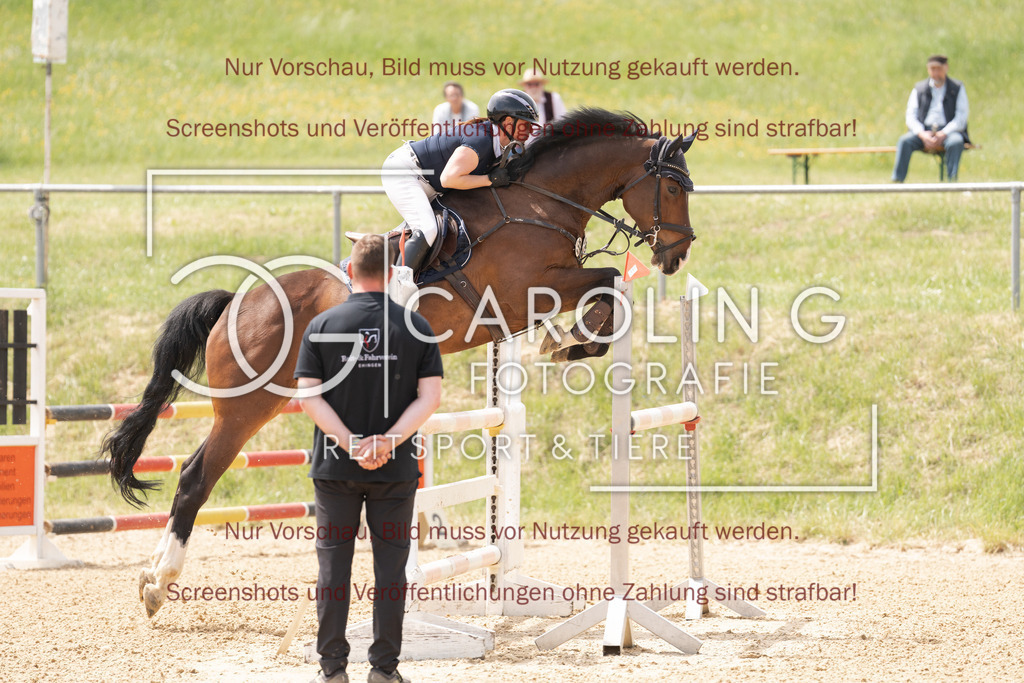 DSC06617 | Springturnier_Ehingen_Mai_2026, miriam_bohn, Don_Diego_93
