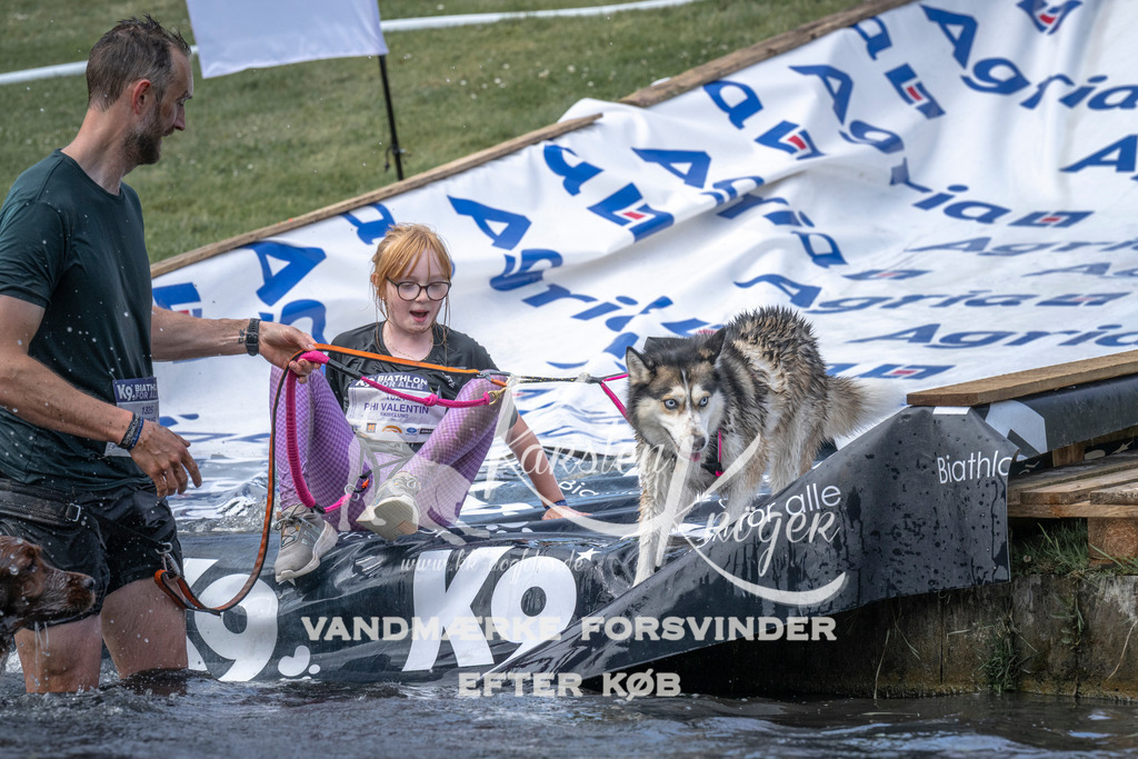 1259_ZZ99656 | kk-dogfotos