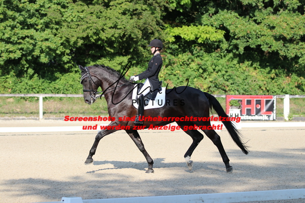 IMG_8787 | lmwpictures - Realisiert mit Pictrs.com