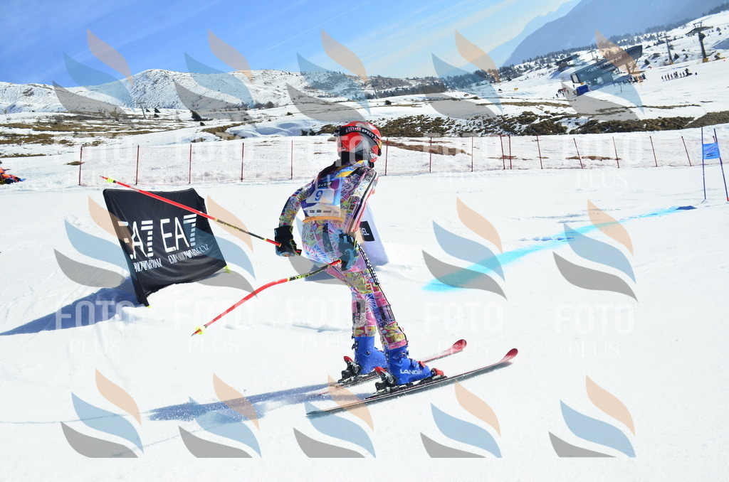 _ELE9840 | holidayphoto