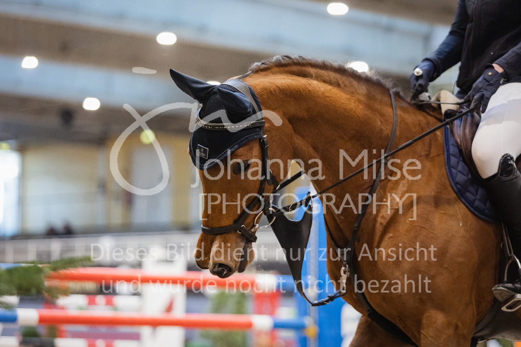 221217_Warstein_Stil-M-240 | Deine schönsten Turniermomente als professionelle Fotos! Entdecke hochwertige Pferdesport-Fotografie im Online-Shop. Jetzt Fotos finden & bestellen!