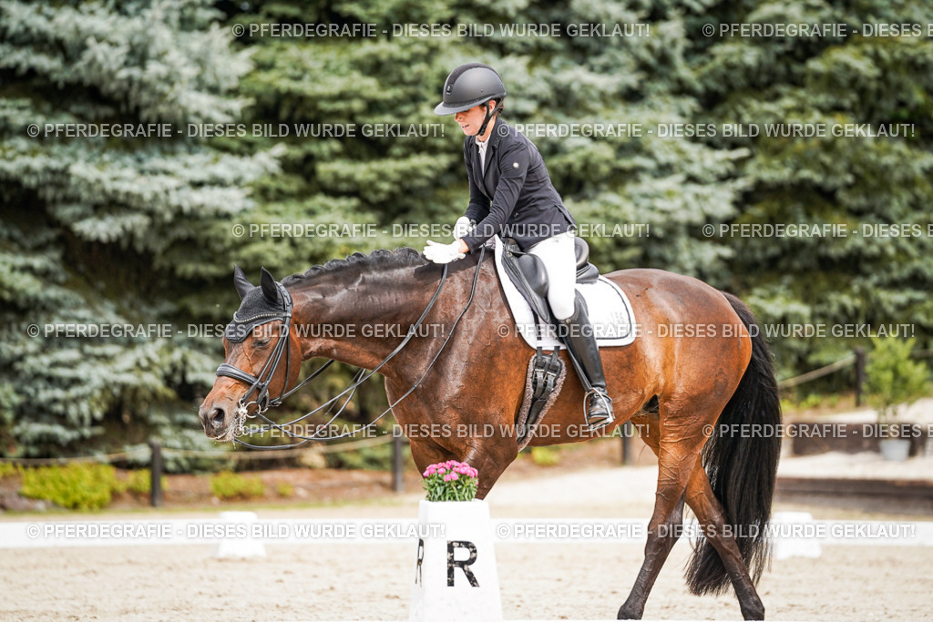 DSC05908 | Pferdegrafie