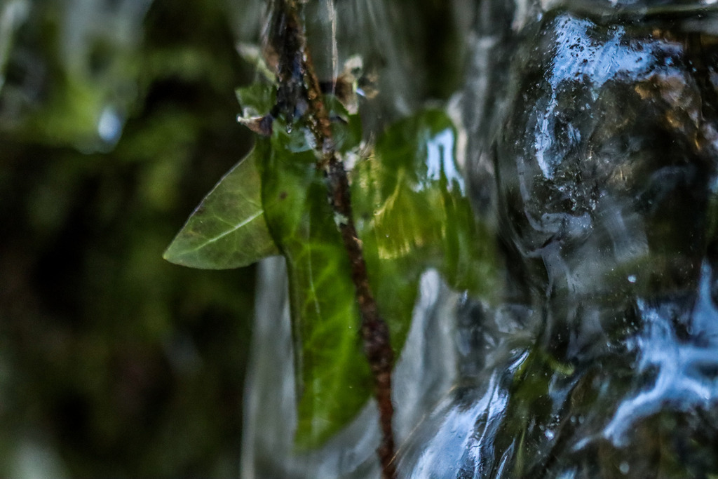 IMG_1791 | ehrlichefotos - Realisiert mit Pictrs.com