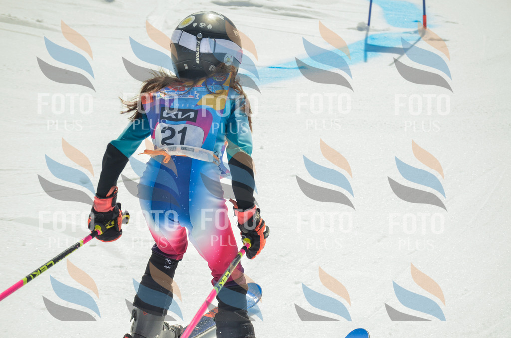 _ELE4741 | holidayphoto