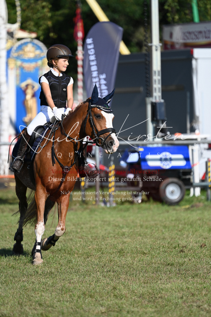 DSC_4943 | Pferde- und Turnierfotografie in Westsachsen. Pferdeportraits, Auftragszeichnungen und intuitive Kunst.