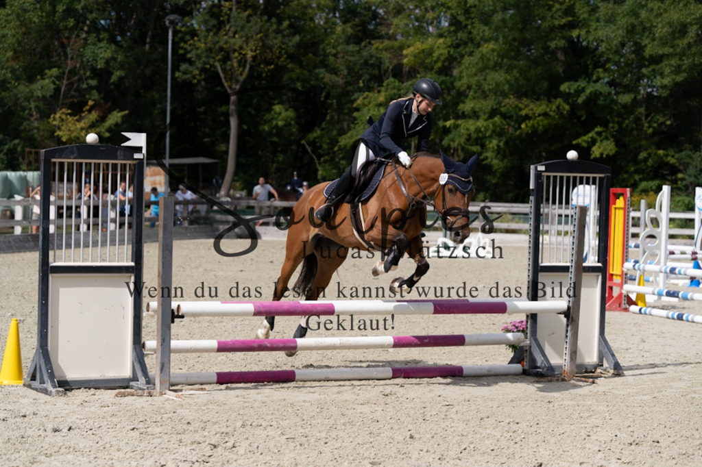 A7V07384 | Turnier/Reitfotograf
