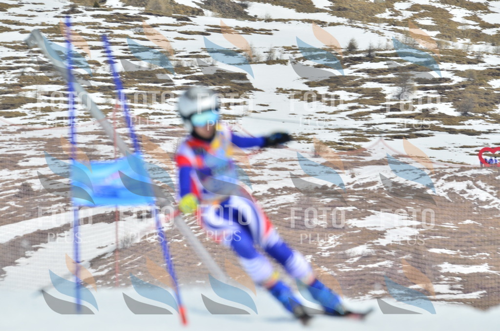 _ELE2722 | holidayphoto