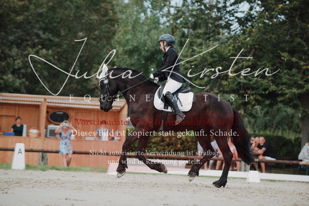 DSC_8640 | Pferde- und Turnierfotografie in Westsachsen. Pferdeportraits, Auftragszeichnungen und intuitive Kunst.