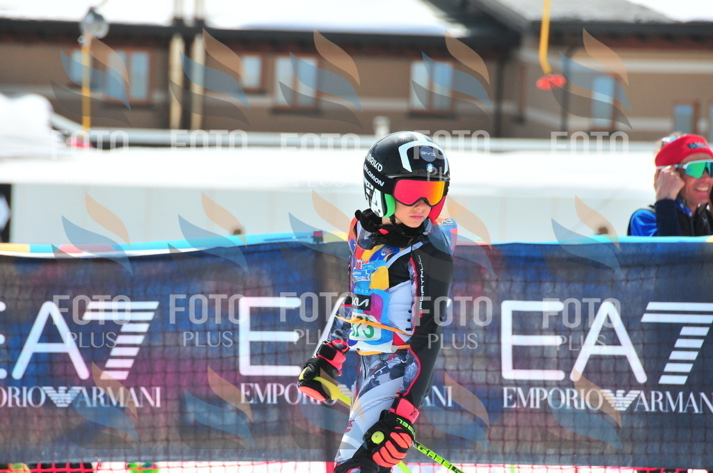 DSC_3341 | holidayphoto