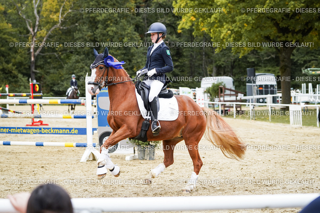 DSC02477 | Pferdegrafie