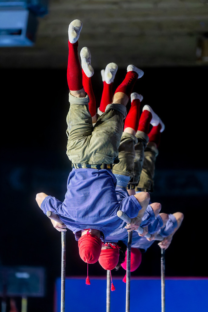 _NZ92802_DxO-1 | photoluigi