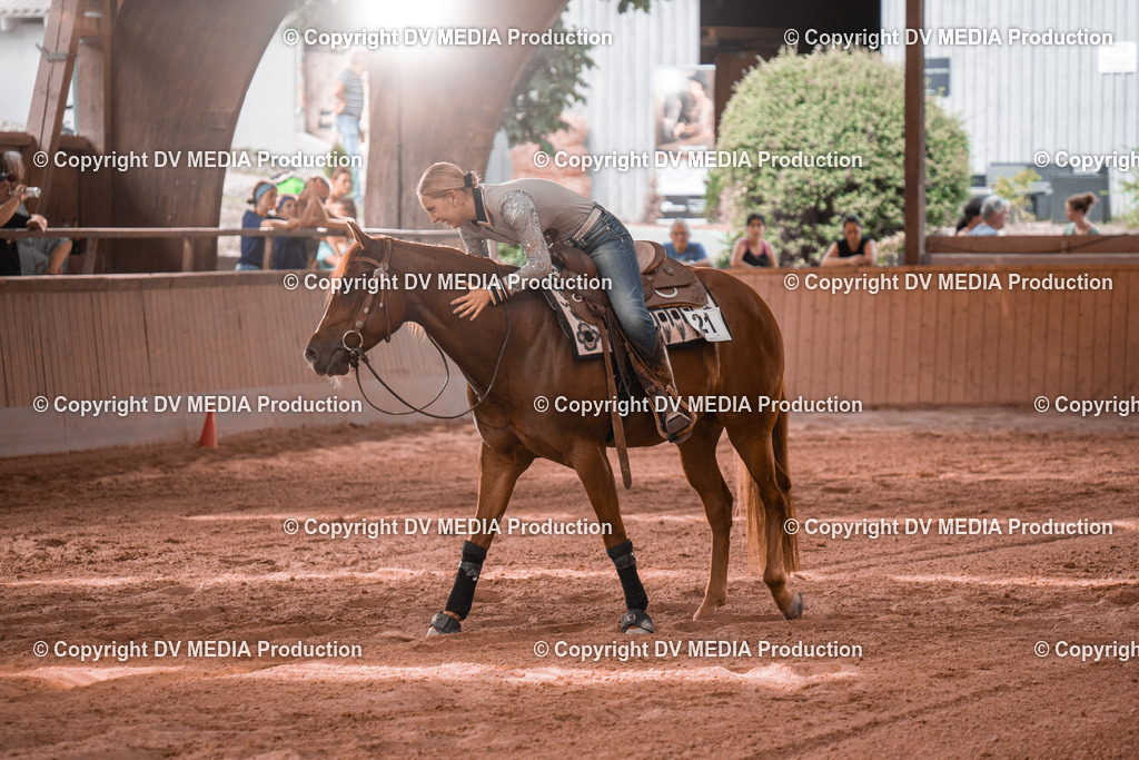 NE300704 | dv-media-shop - Realisiert mit Pictrs.com