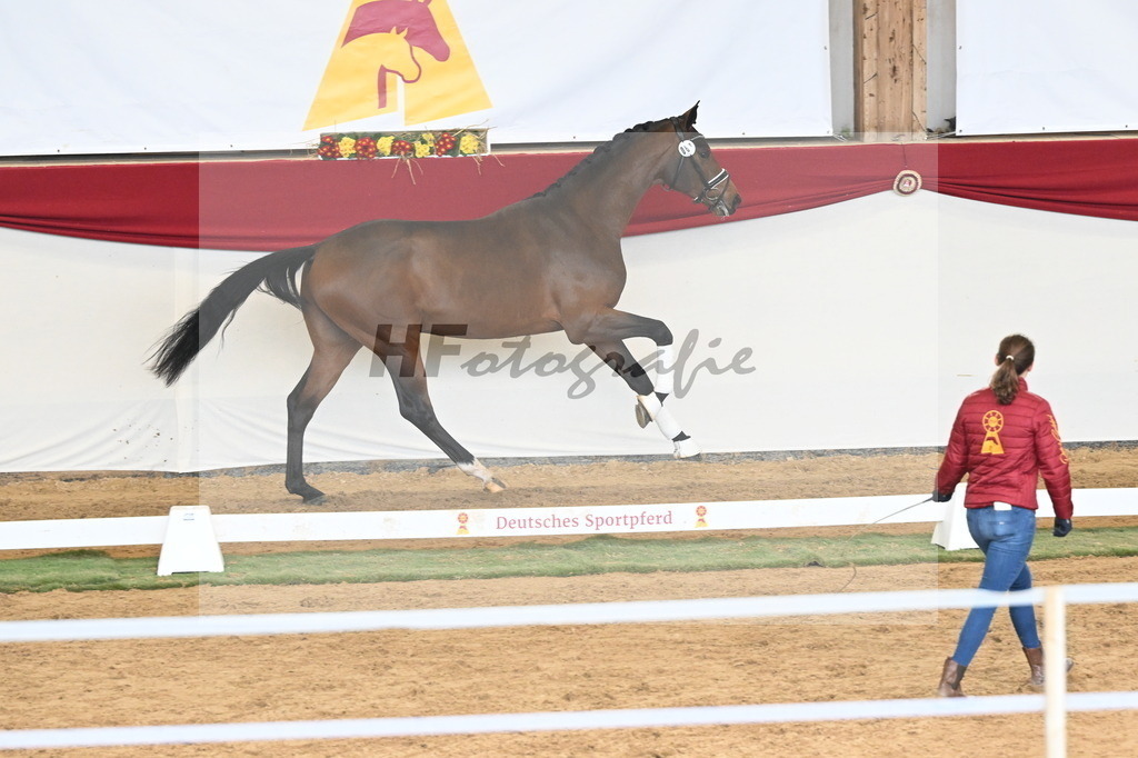 Kat.-Nr. 82 v. Va_ Pensiero_Stuppert_3261168 | hf-fotografie - Realisiert mit Pictrs.com