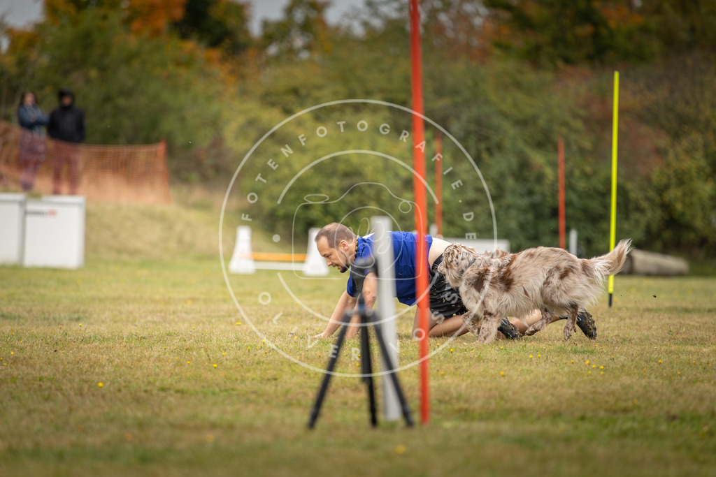Pfotenfotografie_DV3A5454 | Hundefotografie, Tierfotograf, Pfotenfotografie, Fotoshooting Hund, Hunde Portrait, Hundesport, Hundeportraits, Heideshooting, Hunde, Sportfotograf, Hundefotograf, Turnierhundsport, THS,  - Realisiert mit Pictrs.com