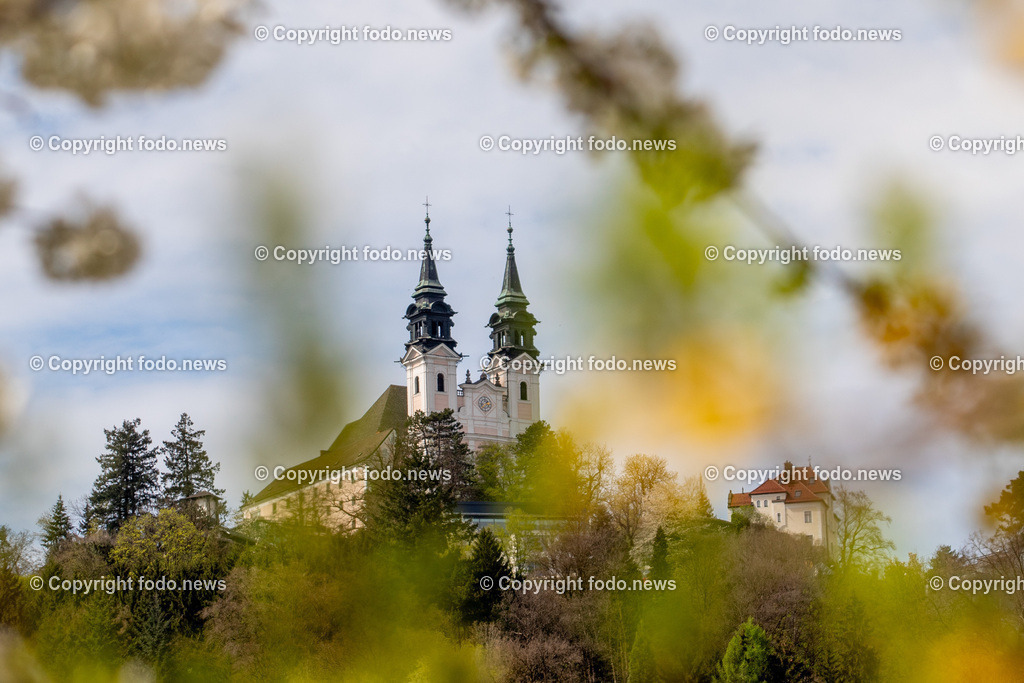 Linz_ Pöstlingberg_ 15.04.2025-13 | 15.04.2025, LINZ, AUT, Themenbild, im Bild Poestlingberg, Kirche, Berg, Fruehling, Himmel, Turm, Tuerme, Ausflugsziel, Poestlingbergkirche, Wallfahrtsbasilika, Wahrzeichen, Linz, Baeume, Pflanzen, Feature, Symbolbild