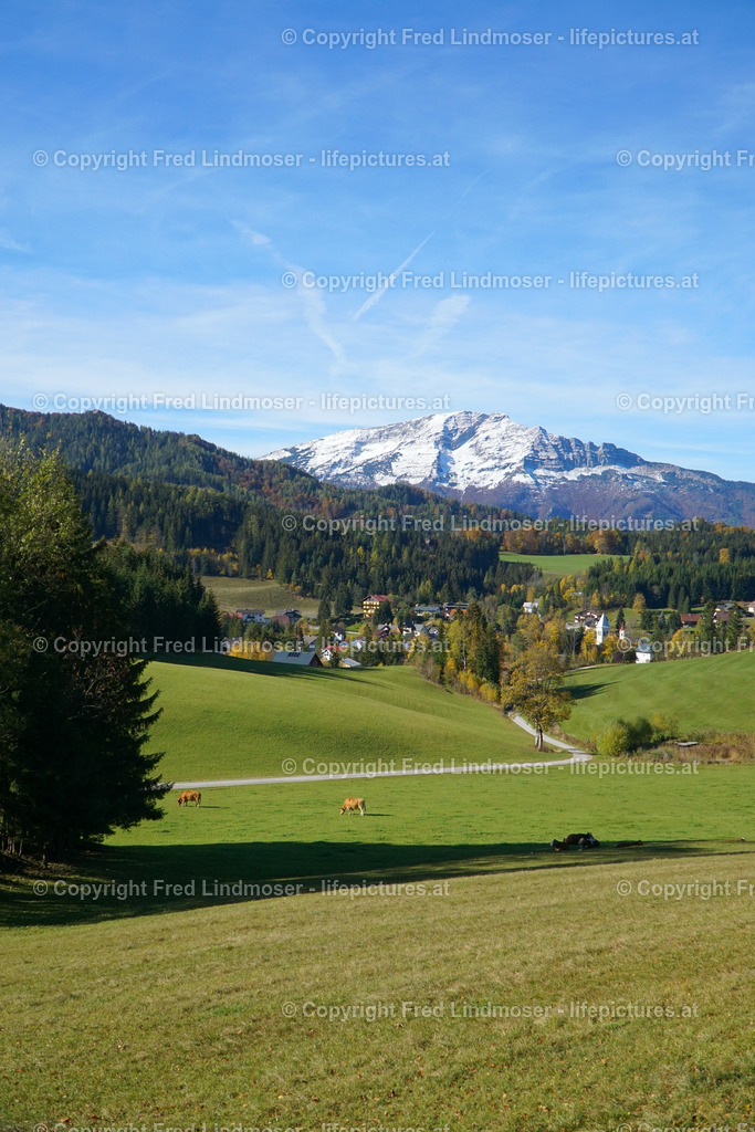 Otscher  (39) | Fotos und Fotoprodukte - Realisiert mit Pictrs.com