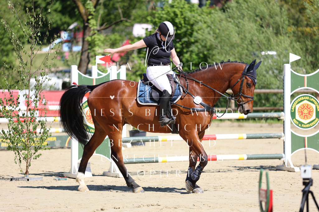 IMGS7137 | pl-fotografie