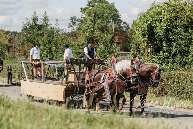 7V6A2789 | natalia-nirschl-photography