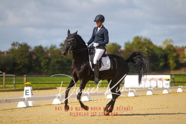 DKP45134 | Turniersportfotografie; Pferdefotografie; Dressurfotografie