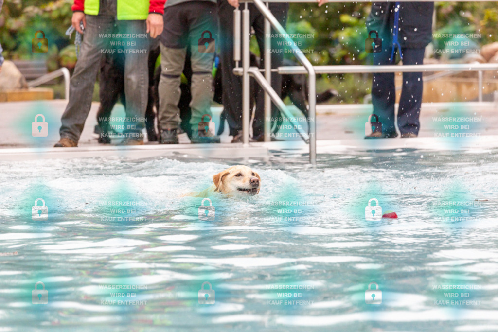 _HP_7185_1000o | HetPix, HetPix Fotodesign, Fotografie, Fotodesign, Webshop, Sportfotografie, Portraitfotografie, Onlineshop, Sportfotografie, Polch, Motorsportfotografie, Eventfotografie