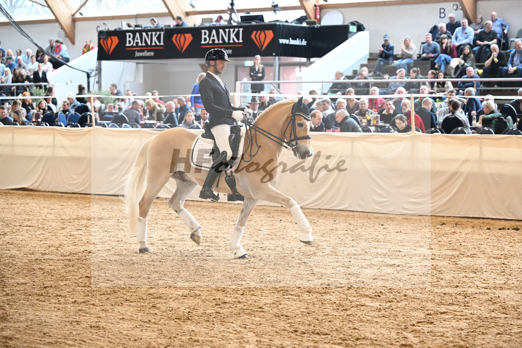 Schauprogramm Haflinger_DSP Amiro_2251586 | hf-fotografie - Realisiert mit Pictrs.com