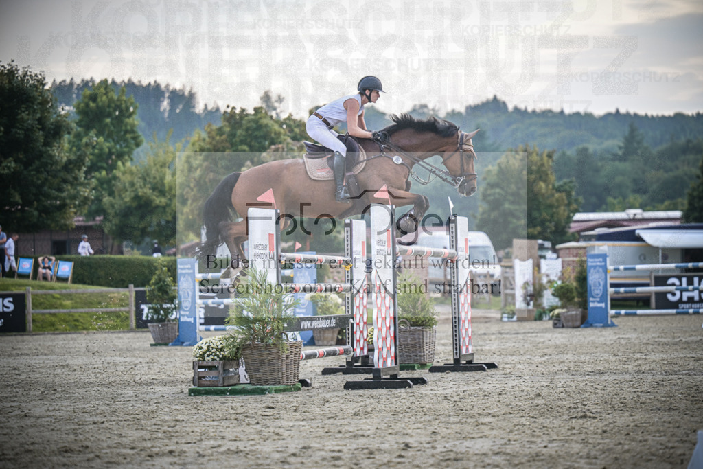 DOS_3396 | Entdecke hochwertige Reitturnierfotos von Foto Oger. Professionell, emotional und authentisch – jetzt Lieblingsmomente im Shop bestellen.Deutschlandweite Turnierfotografie. - Realisiert mit Pictrs.com