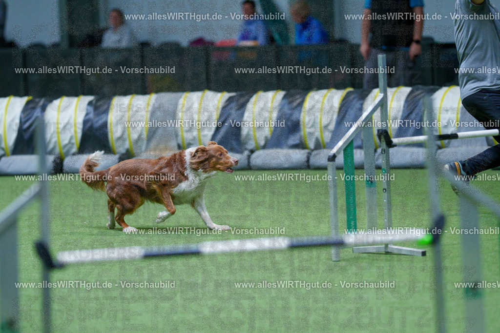 @allesWIRTHgut_Tierfotografie - www.allesWIRTHgut.de - 2604251058-7R500695 | Professionelle Tierfotografie in Mönchengladbach von Daniel Wirth (allesWIRTHgut). Liebevolle & natürliche Bilder von Hunden & Katzen für unvergessliche Erinnerungen.