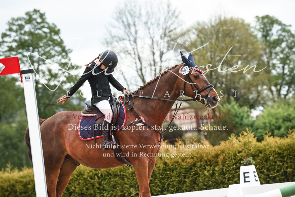 20230518_JK-Röhrsdorf-10-428 | Pferde- und Turnierfotografie in Westsachsen. Pferdeportraits, Auftragszeichnungen und intuitive Kunst.