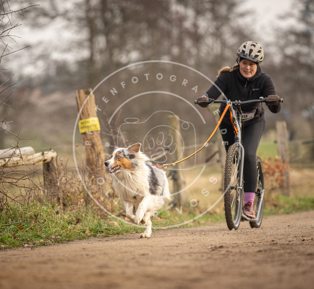 Pfotenfotografie_DV3A4211 | Hundefotografie, Tierfotograf, Pfotenfotografie, Fotoshooting Hund, Hunde Portrait, Hundesport, Hundeportraits, Heideshooting, Hunde, Sportfotograf, Hundefotograf, Turnierhundsport, THS,  - Realisiert mit Pictrs.com