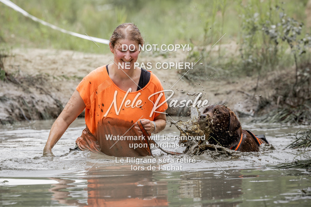 nelerasche_so1515-1530_217 | nelerasche