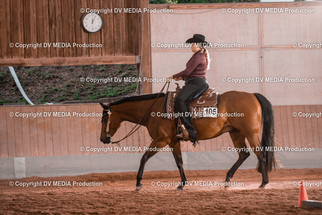 NE300130 | dv-media-shop - Realisiert mit Pictrs.com