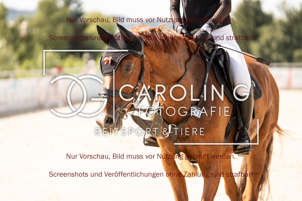 DSC07357 | Turnierfotografin Carolin Gieschke, Turnierfotografie Carolin G Fotografie, Turnierfotos Kirchheim/Teck, Esslingen, Stuttgart, Bodenseekreis