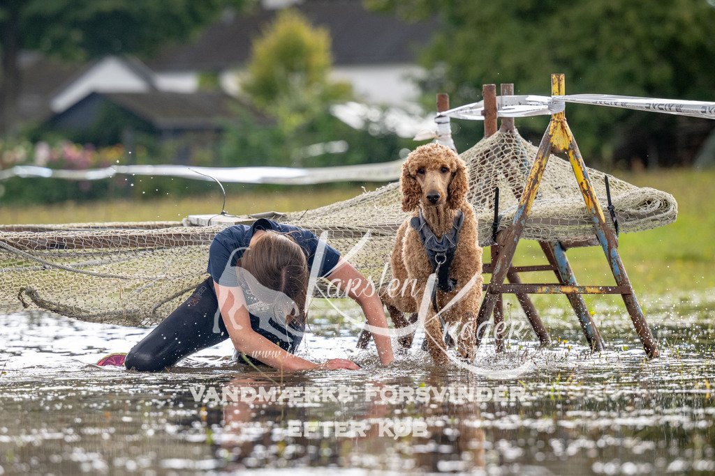 1355_ZZ90394 | kk-dogfotos