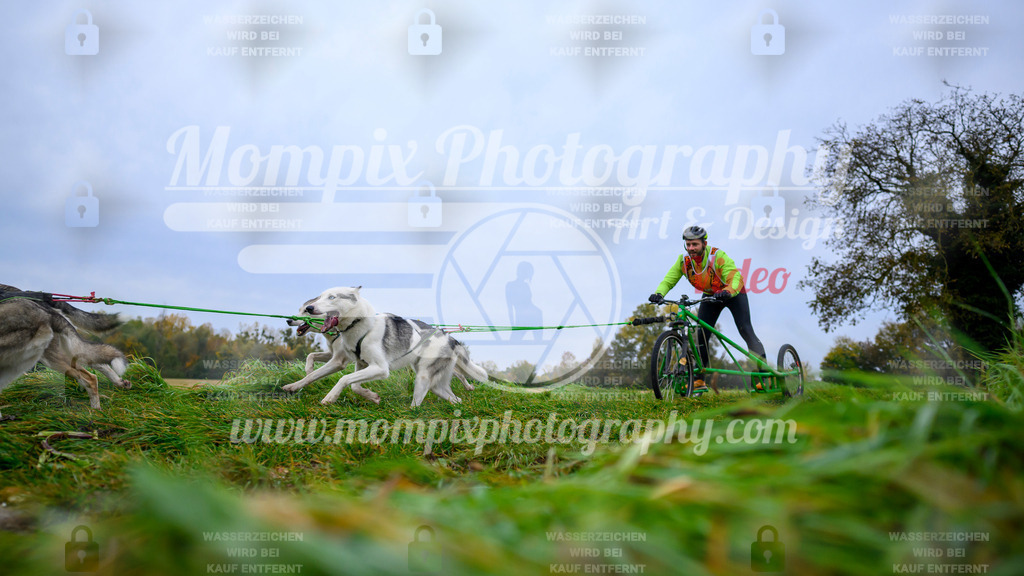 MompixPhotography_CDLBDB2025_DI_Kart-17 | PayLife