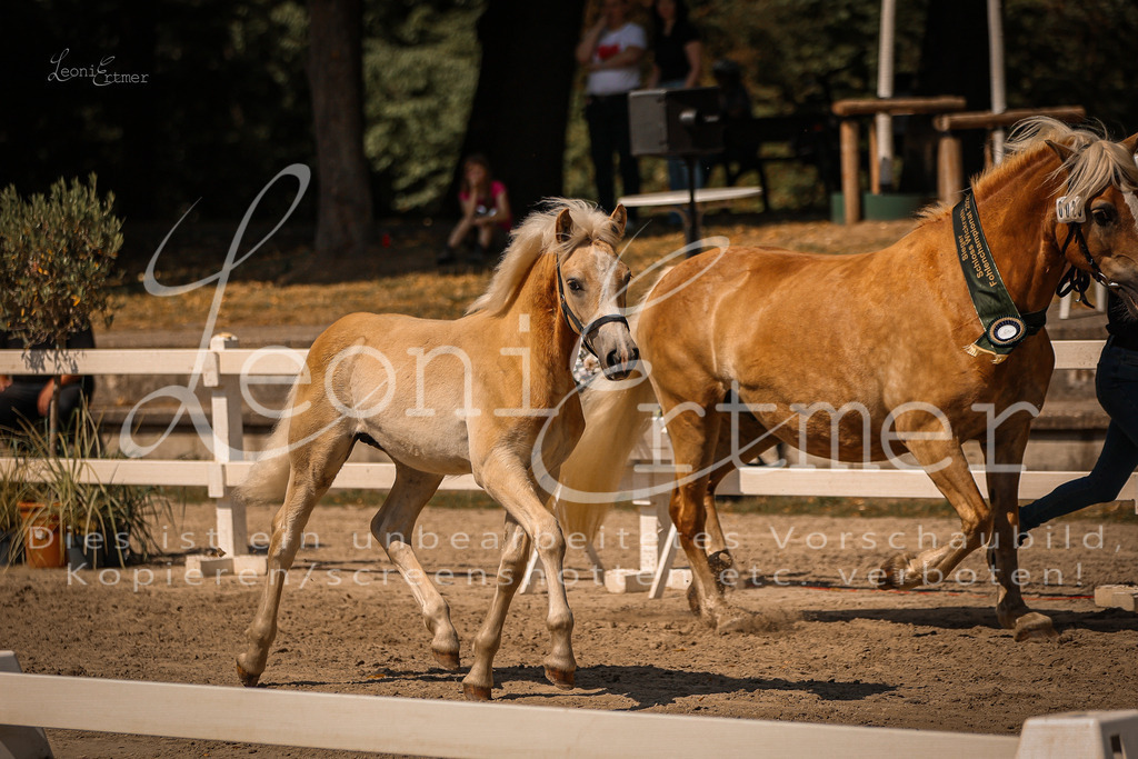 06.DoH00157 | Leoni Ertmer Photography - Realisiert mit Pictrs.com